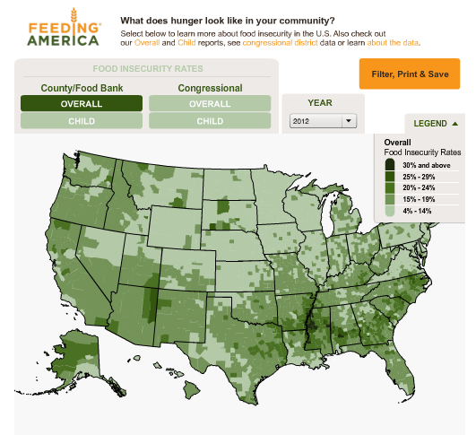 what-is-food-insecurity-and-what-does-it-look-like-in-america